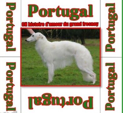 Du grand fresnoy - Championne du Portugal 