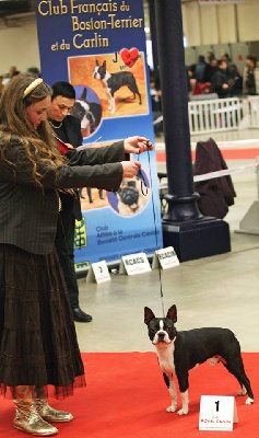 Du grand fresnoy - paris dog show 