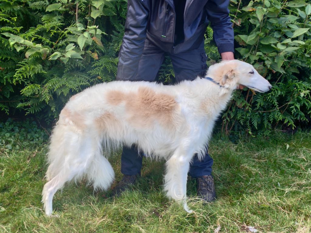 Rhea la dÉesse Du grand fresnoy