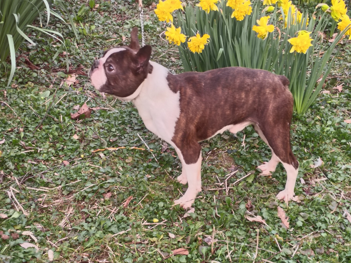 United states of amÉrica Du grand fresnoy