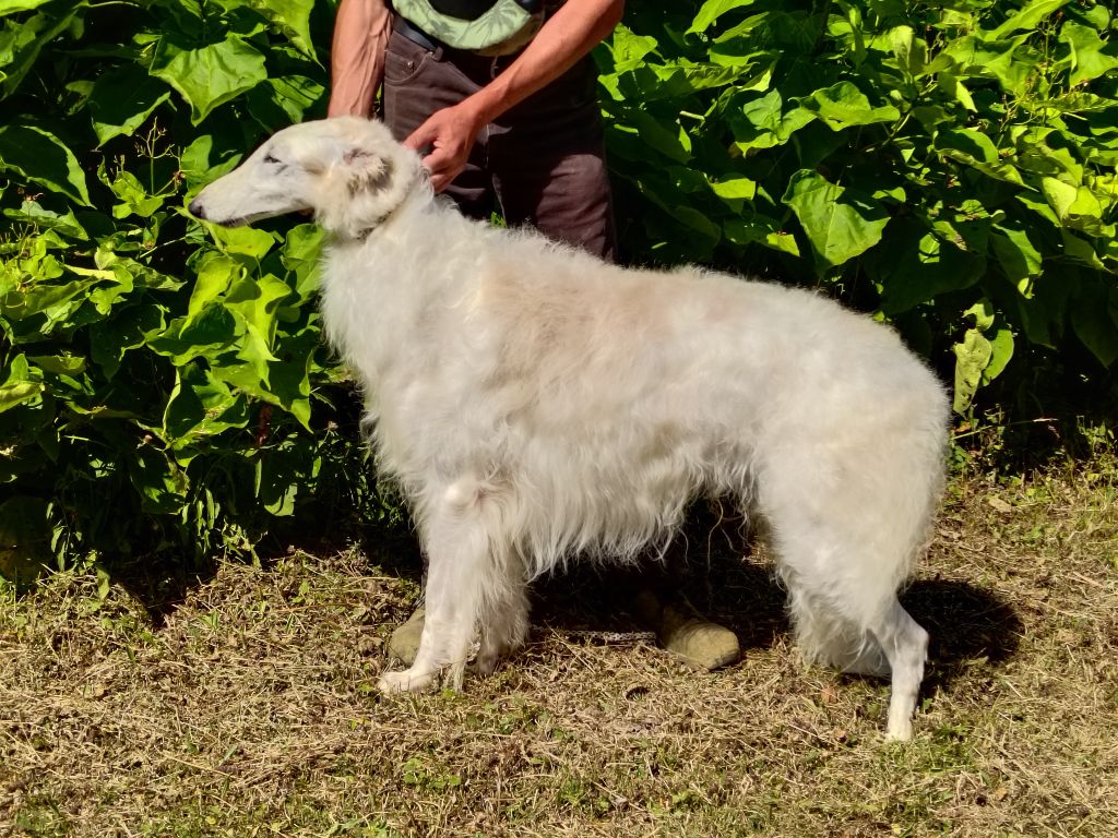 Rastignac Du grand fresnoy