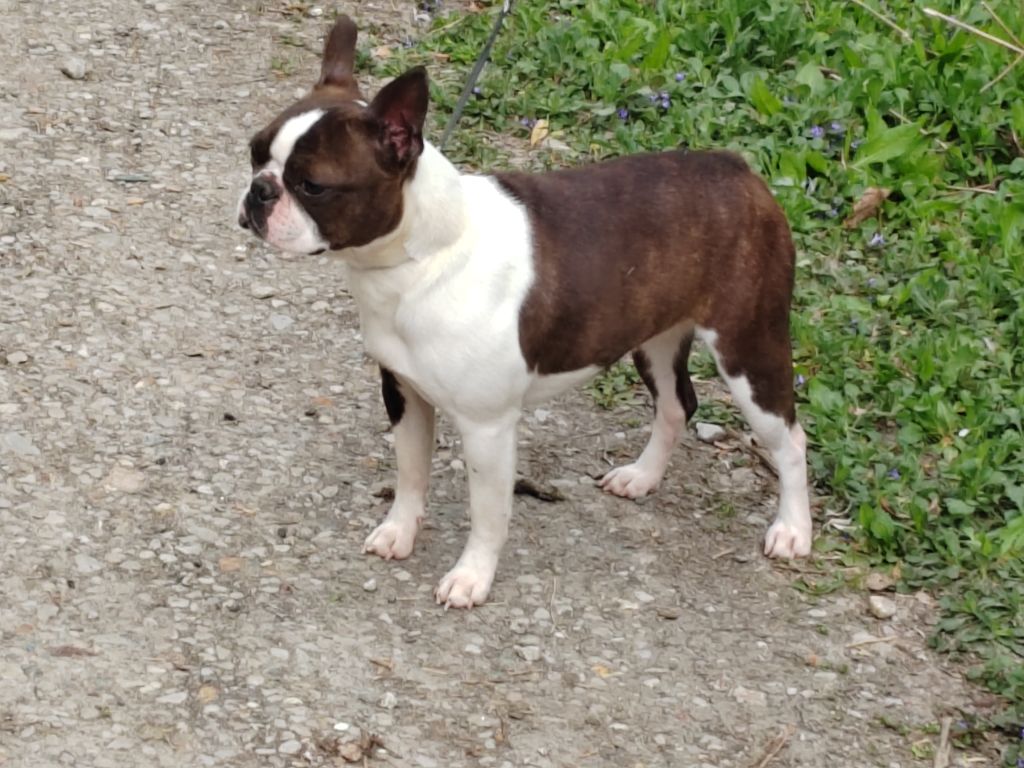 Uguette t'es chouette Du grand fresnoy