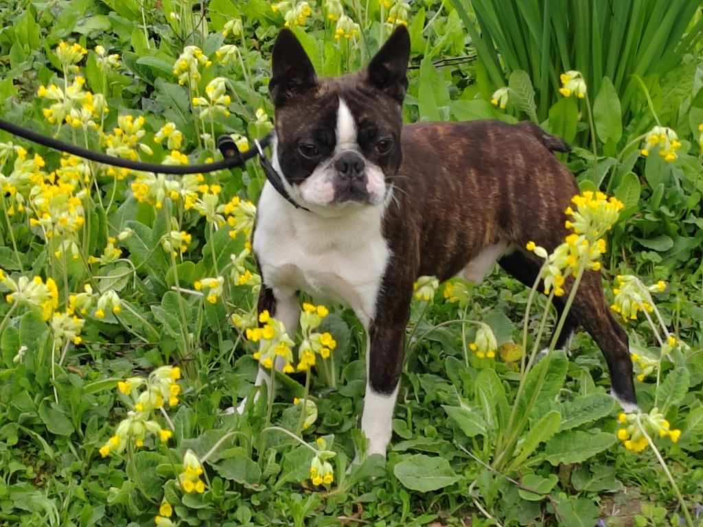 Vl'a le beau gosse Du grand fresnoy