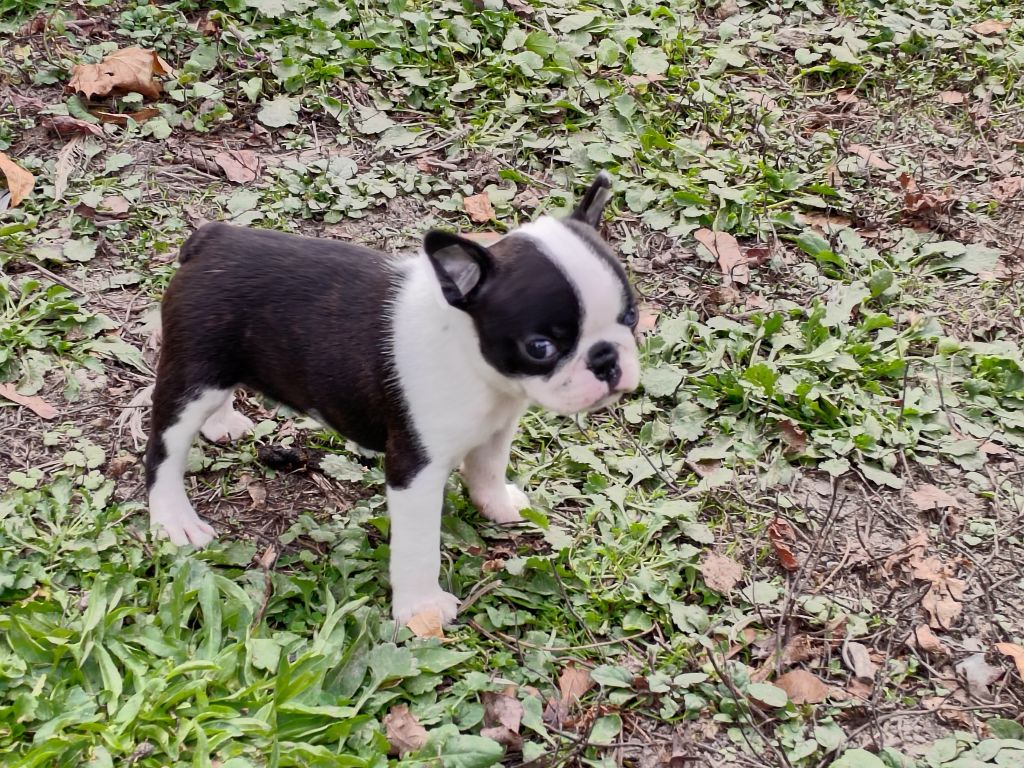 Adorable petite femelle à reszrver
